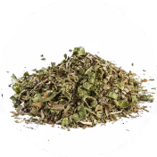 Sencha green tea