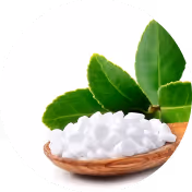 Stevia leaf